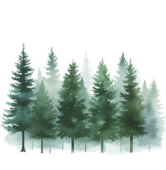 Fototapeta premium Pine forest isolated on transparent background. PNG