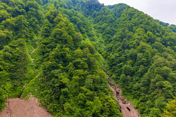 日本の風景　夏の黒部峡谷　黒部万年雪	
