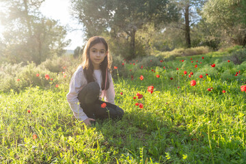 Young Girl Sits In A Field Of Blooming Red Anemones, Sunlight Casting A Warm Glow On The Scene.