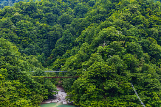 日本の風景　夏の黒部峡谷	
