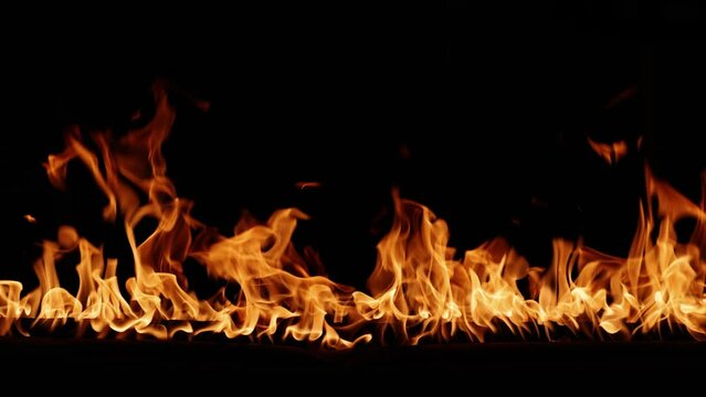 A real, live Fire. A bright burning fire on a black background. Fire in slow motion. Wall of fire, abstract background. Drag and Drop on Your Timeline, to apply a Fire effect to a video