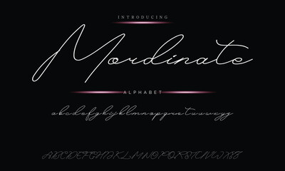 Elegant Handwriting Font - Modern Signature Script Design
