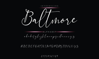 Elegant Handwriting Font - Modern Signature Script Design