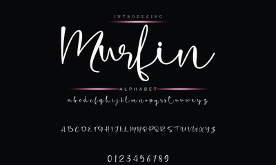 Elegant Handwriting Font - Modern Signature Script Design