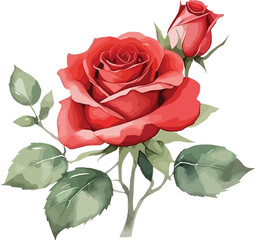 watercolor red rose flowers, vector illustration - obrazy, fototapety, plakaty