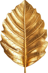 Gold leaf isolated on transparent background. PNG