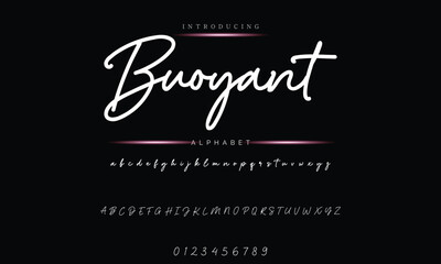 Custom Signature Font - Elegant Handwriting Typeface Illustration