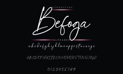 Stylish Signature Font - Modern Handwritten Calligraphy Design