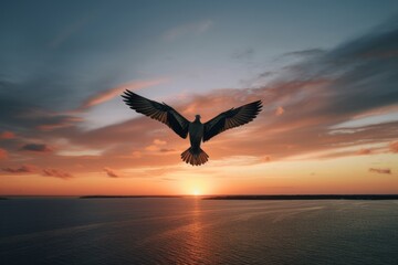 Naklejka premium Aerial acrobatics of a bird against the horizon