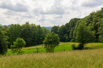 Rural scene with hill panorama, fields and forest with trees near Obertrubach in Franconian Switzerland, Germany