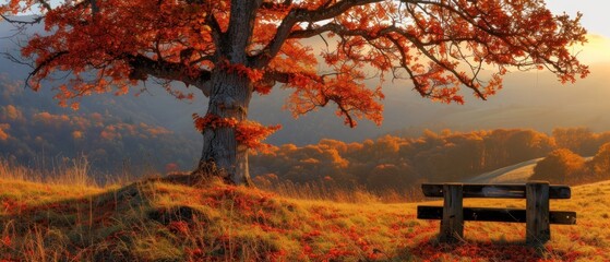 a wooden bench sitting under a tree on top of a lush green hillside next to a tree with red leaves.