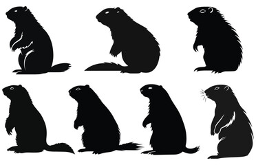 Groundhog silhouette design, groundhog black vector design, groundhog marmot silhouette.
