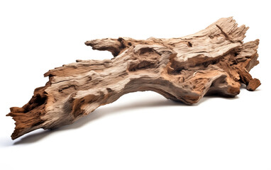 Dry tree twigs or Dead tree on white background. Minimal background for summer concept