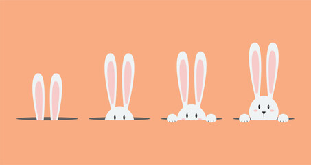 White easter rabbit set. Vector illustration - 736838054