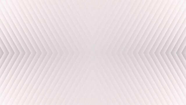 clean line white background animation