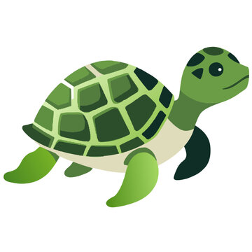 Green turtle vector isolated