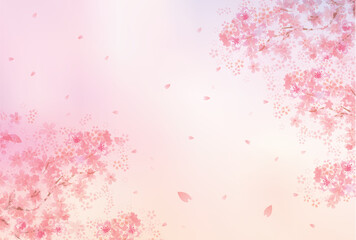 桜　春　花びら　背景	