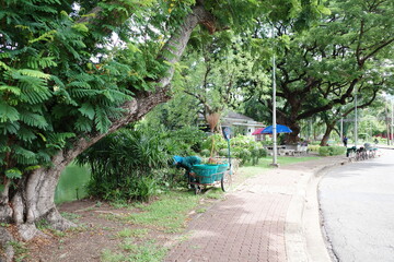 Bangkok, Thai, Thailand, Summer, Lumpini Park, Asia, Travel