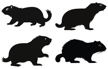 Groundhog running silhouette design, groundhog running  black vector design,
