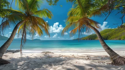 Gordijnen A beautiful exotic beach with palm trees, white sand and blue © sirisakboakaew