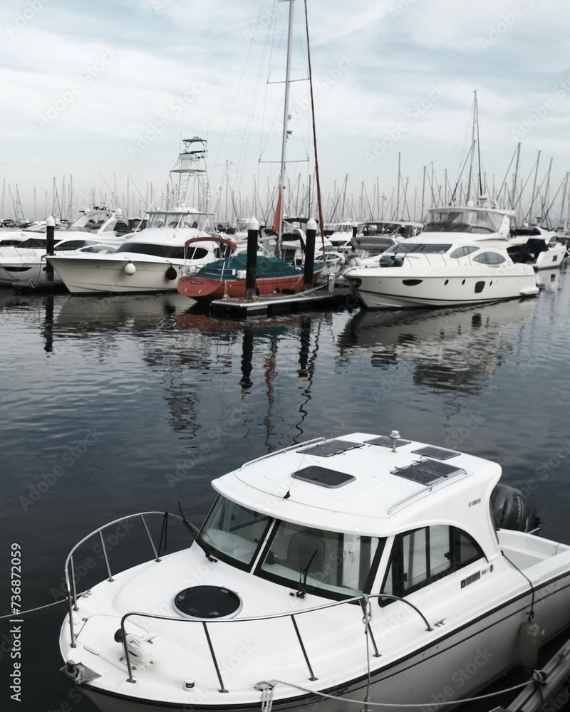 Wall mural boats in the marina