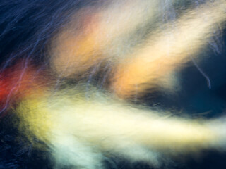 Blurred image of fish in the water - 736878022