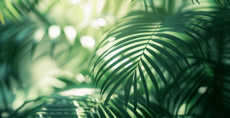A green shadow is cast off some palm leaves, featuring a style with a soft, muted color palette.