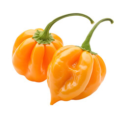 Two orange habanero peppers isolated on transparent or white background, png