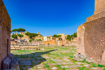 Roman Forum. Ancient, beautiful, incredible Rome, where every place is filled with history.