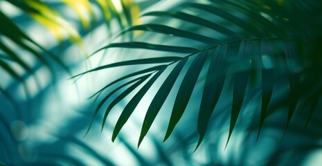 A green shadow is cast by a palm leaf with a bokeh effect, featuring a motion blur panorama, eco-friendly craftsmanship, playful use of negative space
