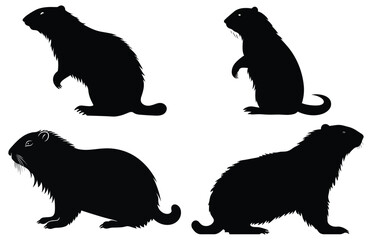 Groundhog Walking silhouette design, groundhog Walking black vector design,
