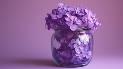  a jar filled with purple flowers sitting on top of a purple table top next to a pink wall and a purple wall behind it.