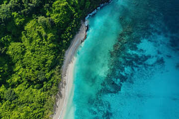 Tropical Paradise Aerial View: bird's eye view of a tropical beach paradise, lush greenery, crystal-clear waters, and pristine sandy shores from above,nature concept