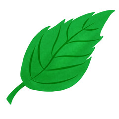 png transparent illustration of leaf elements. Perfect for sticker, cards, invitation, print on demand, etc