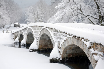 Snowy Bridges. Symbolizing the Serenity of Winter and the Beauty of the Landscape.