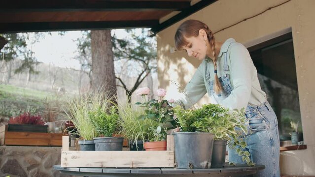 A young Caucasian woman gardener does spring pruning of plants on the terrace of a country house.