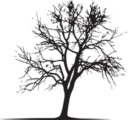 Fototapeta na wymiar Set of trees in black silhouettes