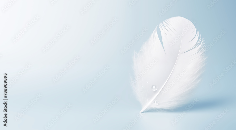 Wall mural white light feather drop of water blue background