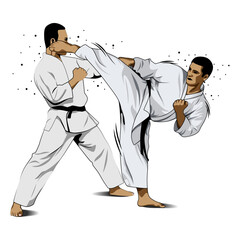 fighting training in Karate. Karate is a martial art originating from Japan. vector illustrator