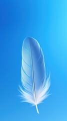 a close up of a white feather on a blue background with a blurry image of a bird's tail.