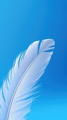 a close up of a white feather on a blue background with a blurry image of a bird's tail.
