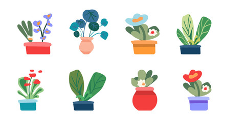 Botanical set, indoor flowers. House plants in pots for the interior. Minimalist style. Vector illustration.