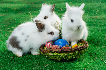 Osterhase im Nest