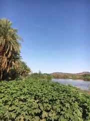 The picturesque nature with the Nile River in northern Sudan