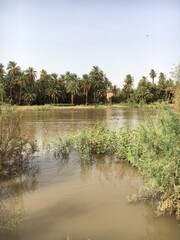 The picturesque nature with the Nile River in northern Sudan