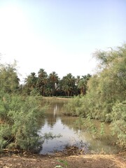 The picturesque nature with the Nile River in northern Sudan
