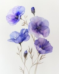 A Group of Blue Flowers on a White Background