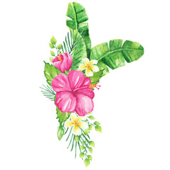 Obraz premium Hibiscus Tropical Plant