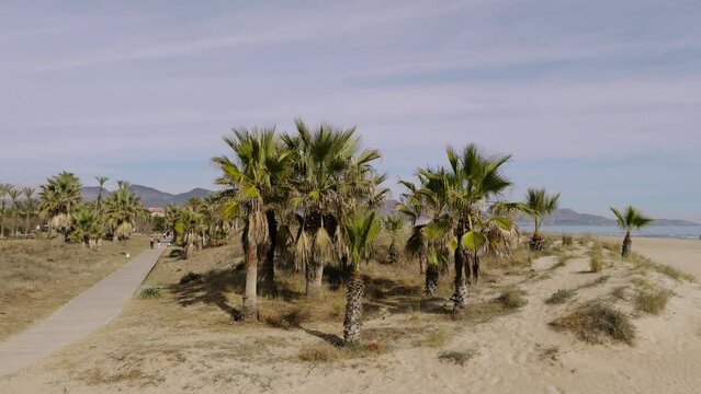 A walk on a sandy beach in Spain. A warm winter day in the sand dunes of Grao. Castellon