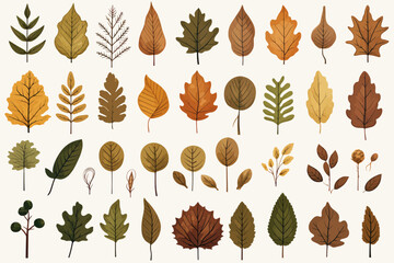 a bunch of different types of leaves on a white background